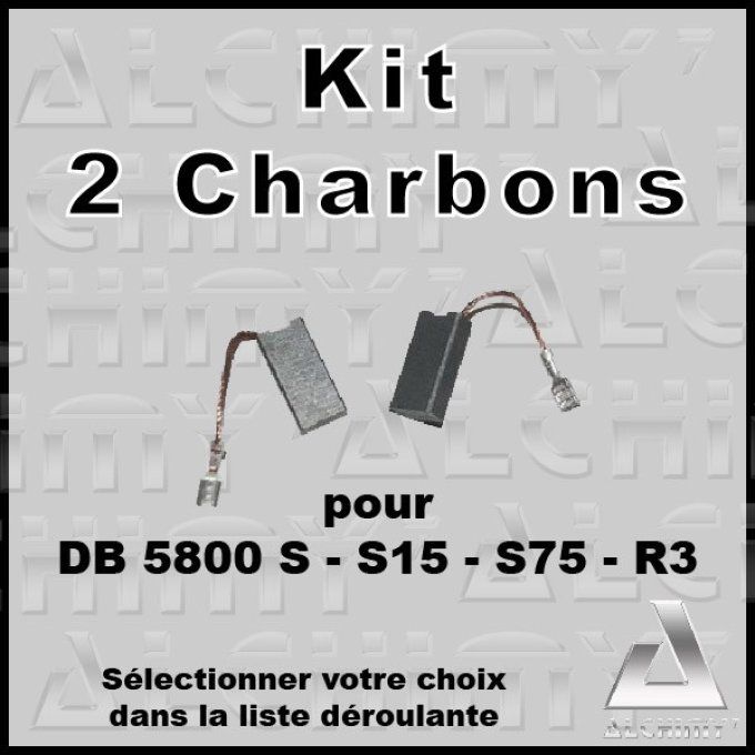 Kit 2 charbons pour polisseuse